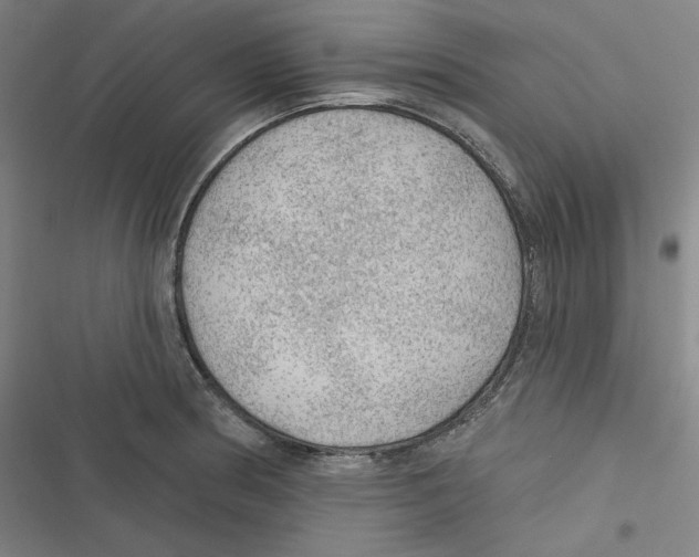 X0000116611186201001081204