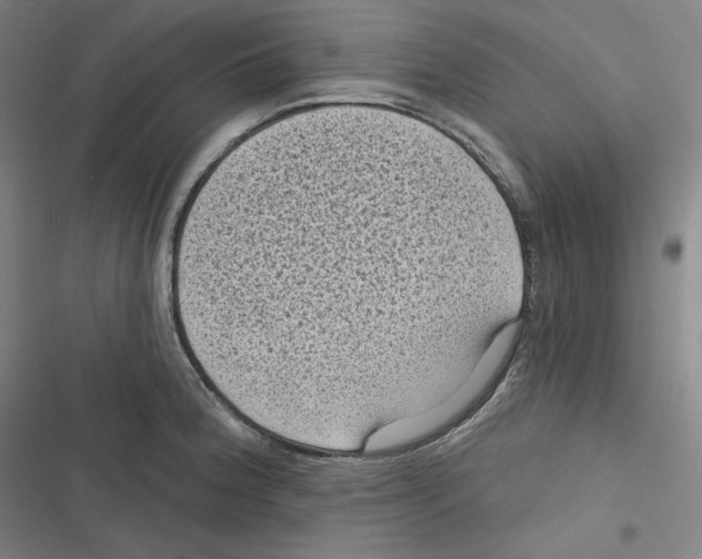 X0000116611188201001081204