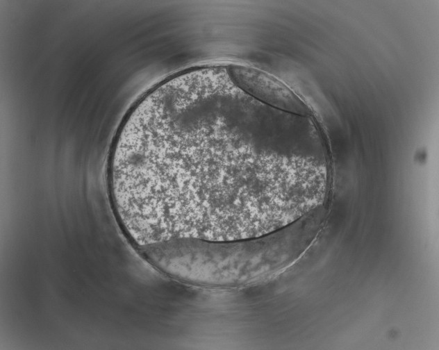 X0000116611189201001081204