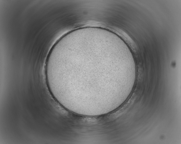 X0000116611190201001081204