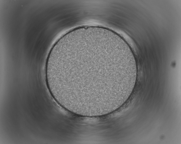 X0000116611191201001081204