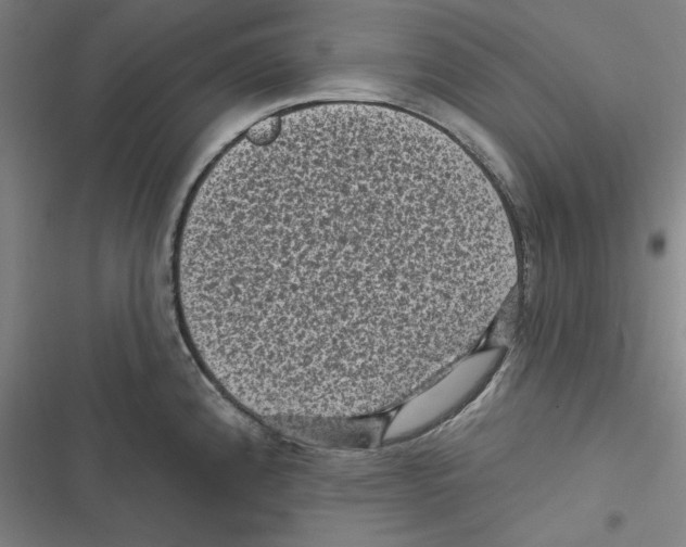 X0000116611192201001081204