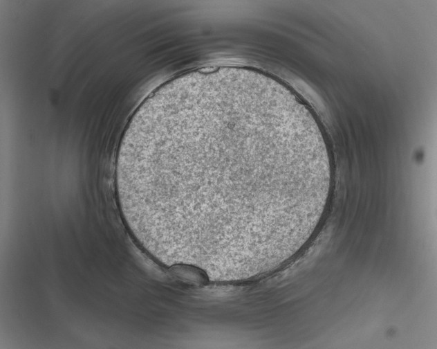 X0000116611193201001081204