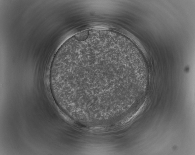 X0000116611194201001081204