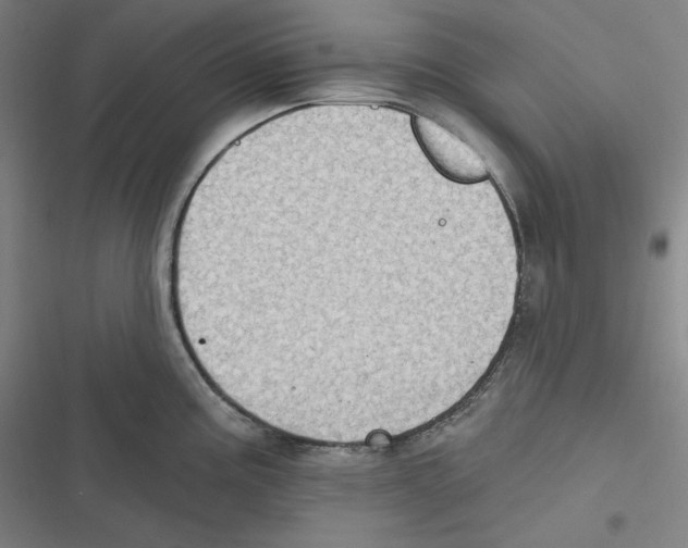 X0000116611195201001081204