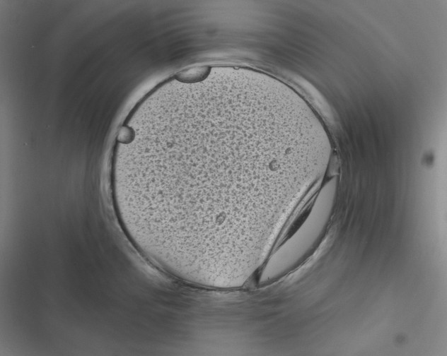 X0000116611196201001081204