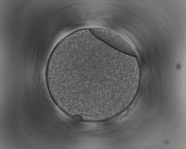 X0000116611197201001081204