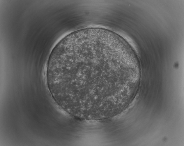 X0000116611198201001081204