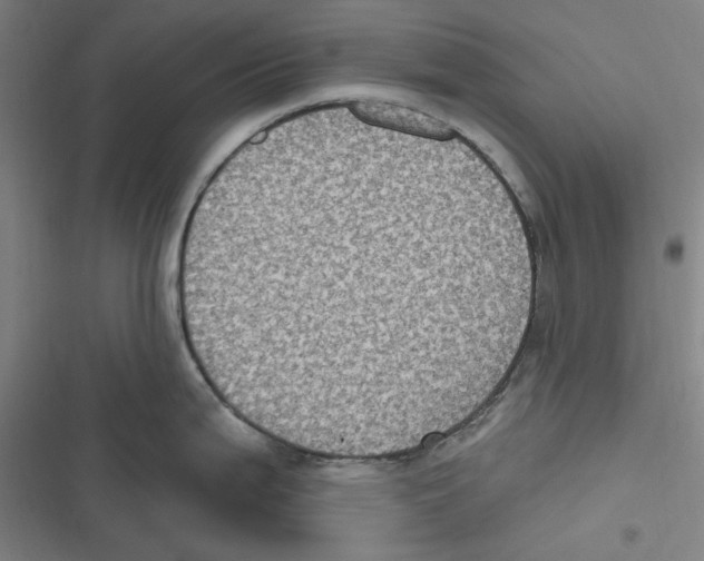 X0000116611199201001081204