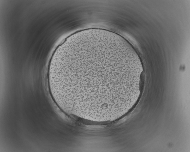 X0000116611200201001081204