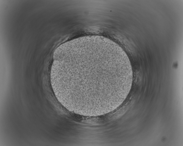 X0000116611201201001081203