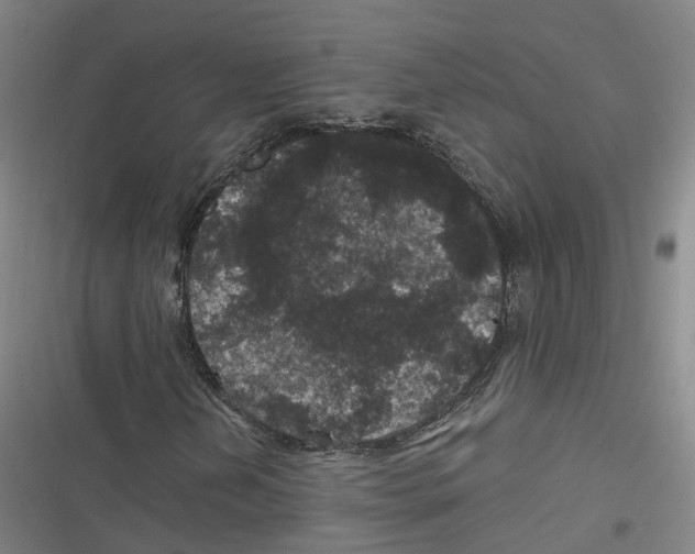 X0000116611202201001081203