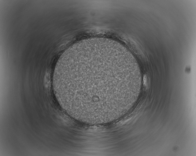 X0000116611203201001081203