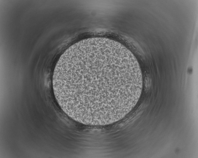 X0000116611204201001081203