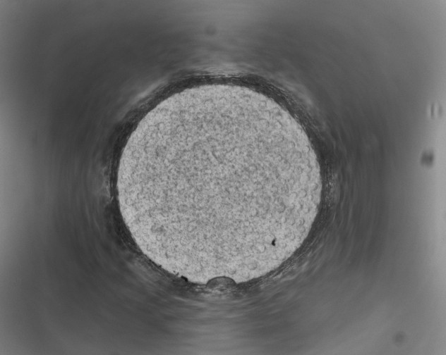 X0000116611205201001081203