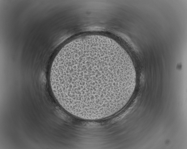 X0000116611209201001081203