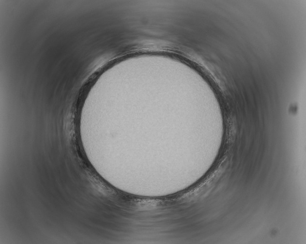 X0000116611211201001081203