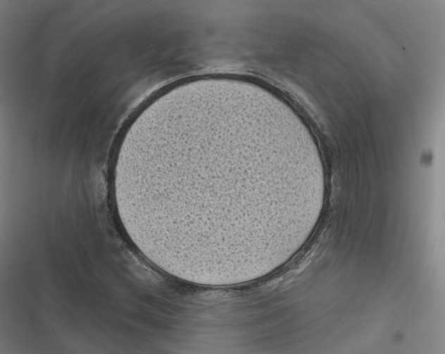 X0000116611212201001081204