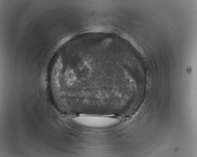 X0000116611213201001081204