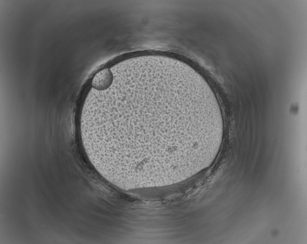 X0000116611214201001081204