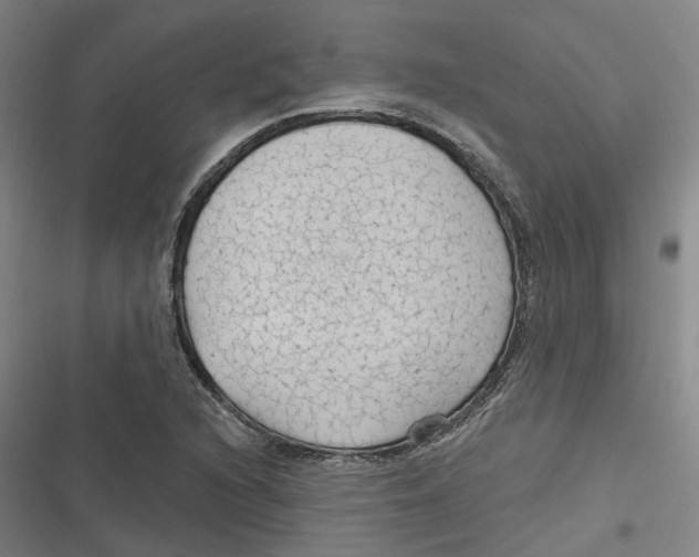 X0000116611216201001081204