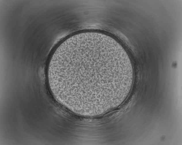 X0000116611218201001081204