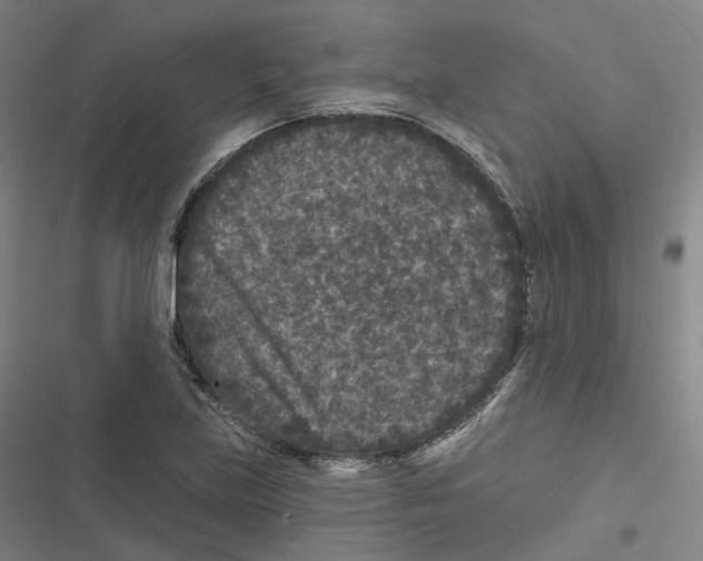 X0000116611219201001081204