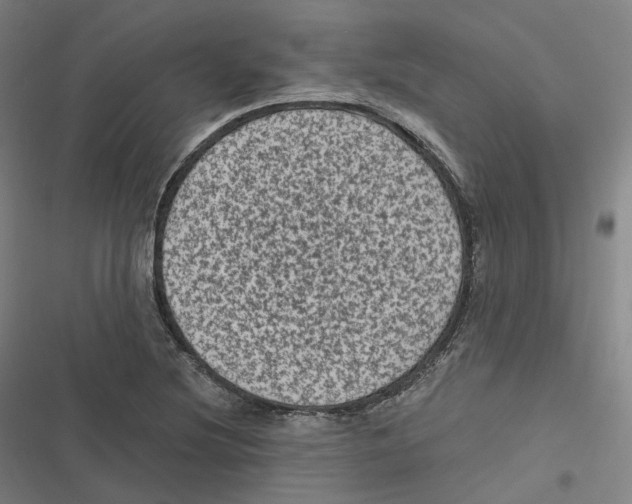 X0000116611220201001081204