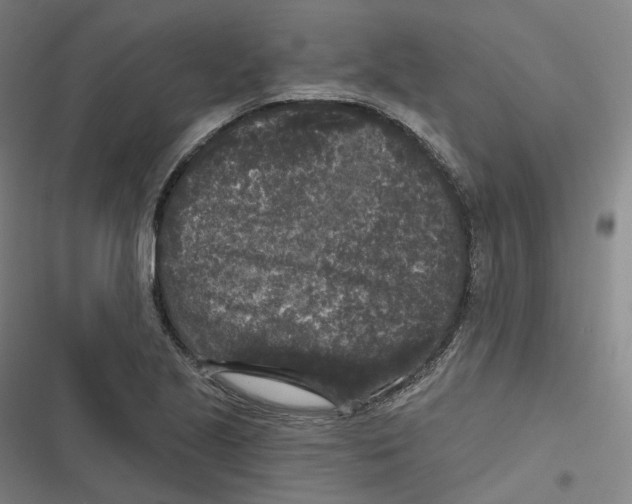 X0000116611221201001081204