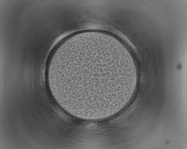 X0000116611222201001081204