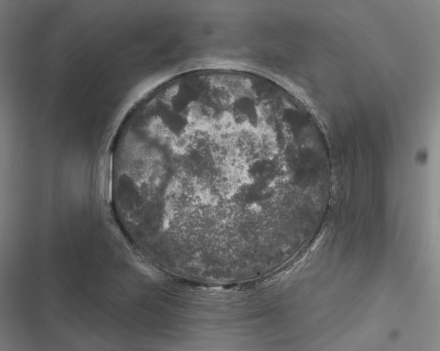 X0000116611223201001081204