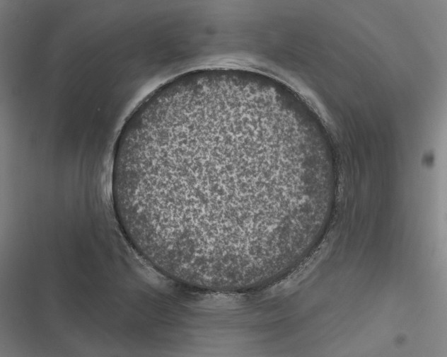 X0000116611224201001081204