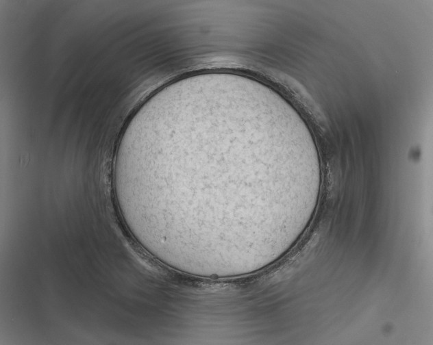 X0000116611225201001081204