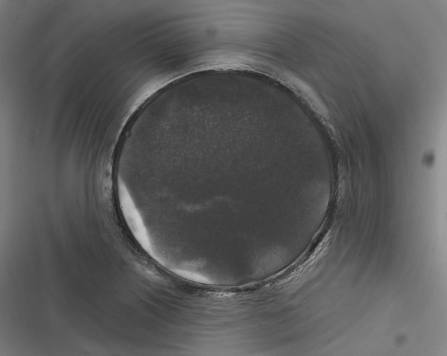 X0000116611226201001081204