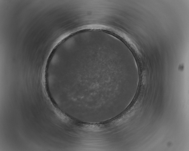 X0000116611229201001081204