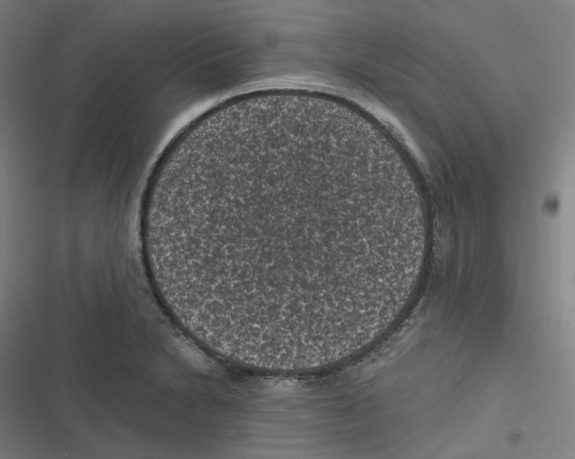 X0000116611230201001081204