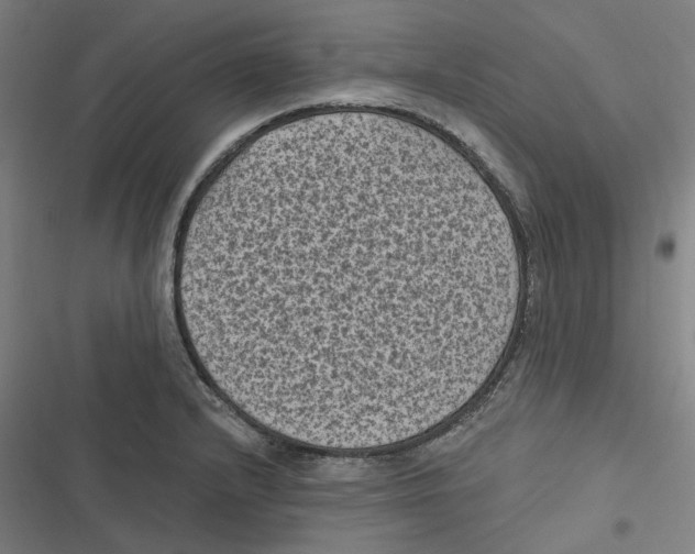 X0000116611232201001081204