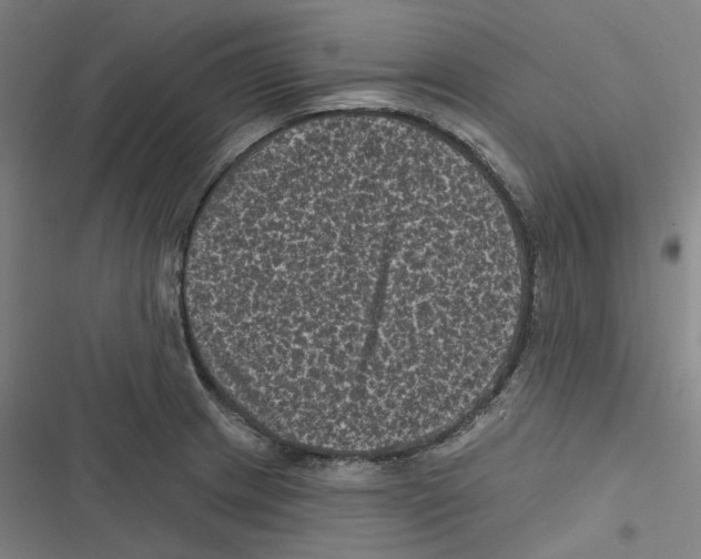 X0000116611233201001081204