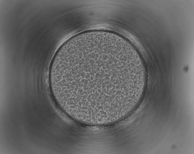 X0000116611234201001081204