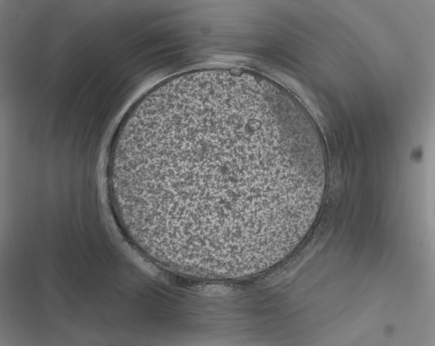 X0000116611235201001081204