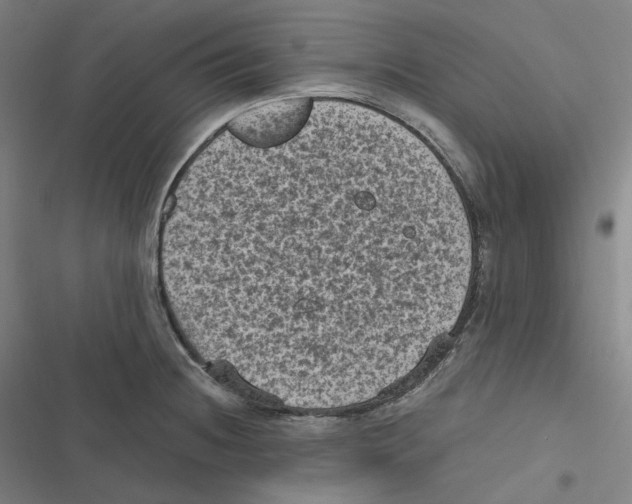 X0000116611236201001081204