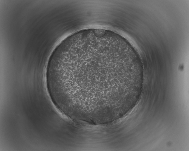 X0000116611237201001081204