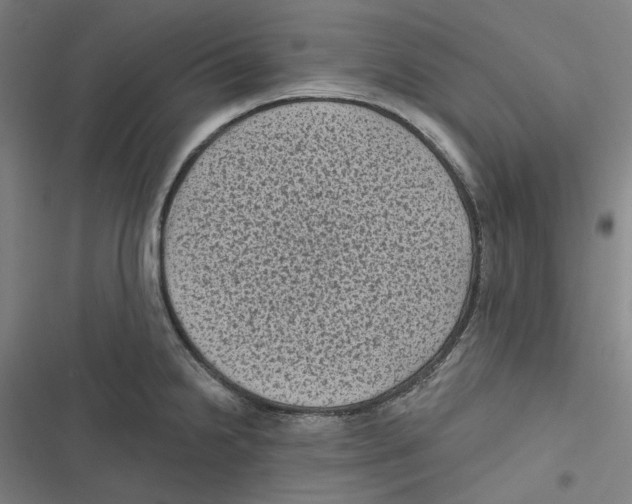 X0000116611238201001081204