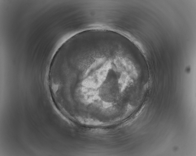 X0000116611239201001081204