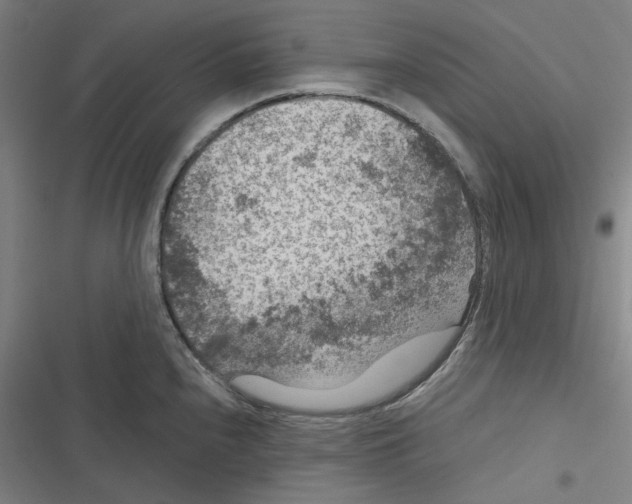 X0000116611240201001081204