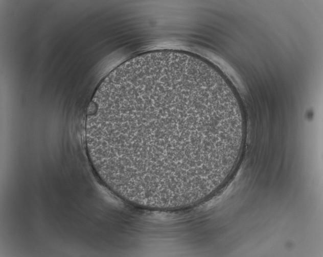 X0000116611241201001081204