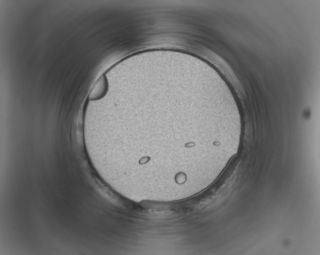 X0000116611242201001081204