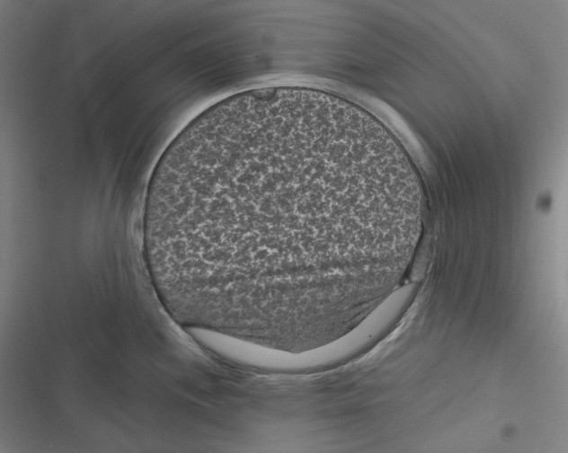 X0000116611244201001081204