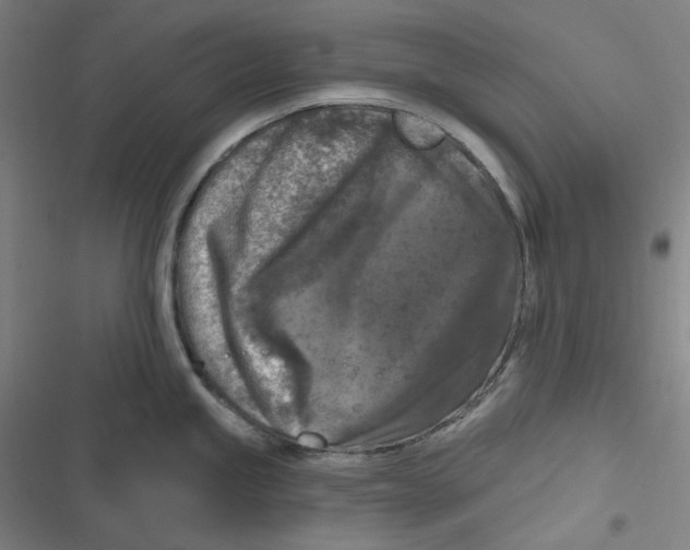 X0000116611245201001081204