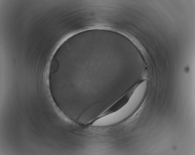 X0000116611246201001081204